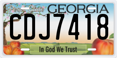 GA license plate CDJ7418