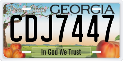 GA license plate CDJ7447