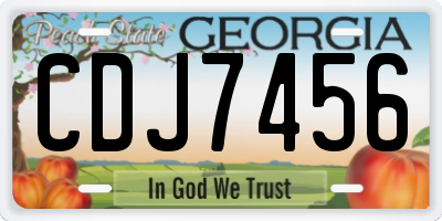 GA license plate CDJ7456