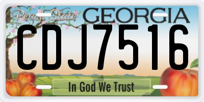 GA license plate CDJ7516