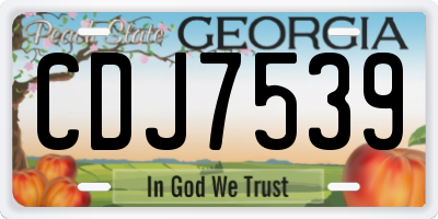 GA license plate CDJ7539