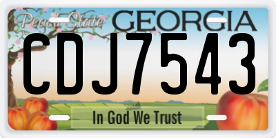 GA license plate CDJ7543