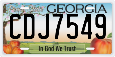 GA license plate CDJ7549