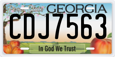 GA license plate CDJ7563