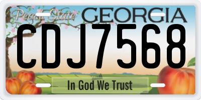 GA license plate CDJ7568