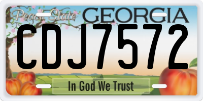 GA license plate CDJ7572