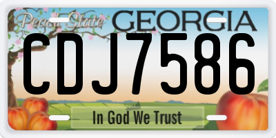 GA license plate CDJ7586
