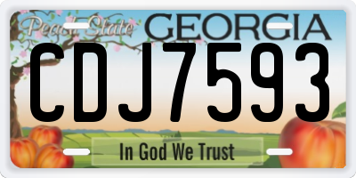 GA license plate CDJ7593