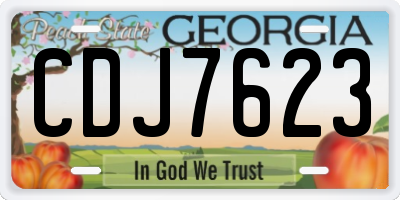 GA license plate CDJ7623