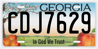 GA license plate CDJ7629