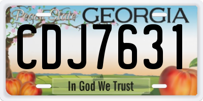 GA license plate CDJ7631