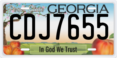 GA license plate CDJ7655