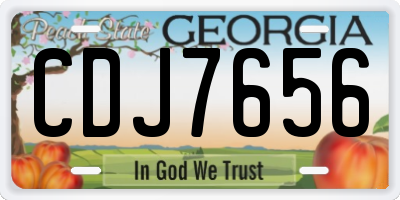 GA license plate CDJ7656