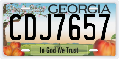 GA license plate CDJ7657