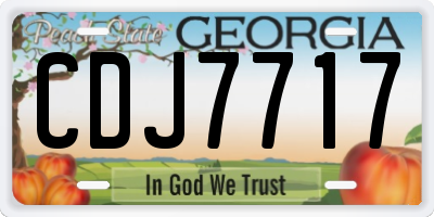 GA license plate CDJ7717