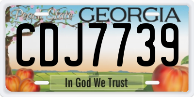 GA license plate CDJ7739