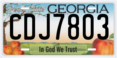 GA license plate CDJ7803