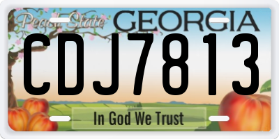 GA license plate CDJ7813