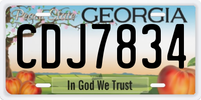 GA license plate CDJ7834