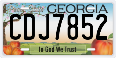 GA license plate CDJ7852