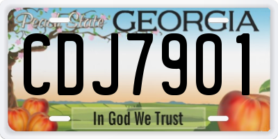 GA license plate CDJ7901
