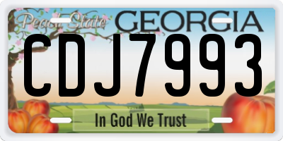 GA license plate CDJ7993