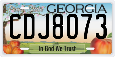 GA license plate CDJ8073
