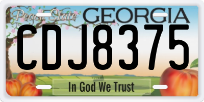 GA license plate CDJ8375