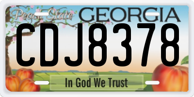 GA license plate CDJ8378