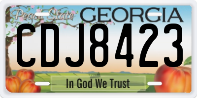 GA license plate CDJ8423
