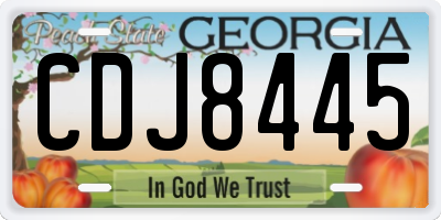 GA license plate CDJ8445