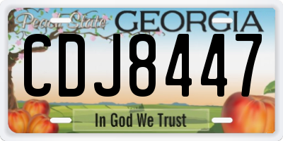 GA license plate CDJ8447