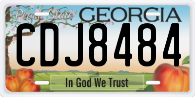 GA license plate CDJ8484