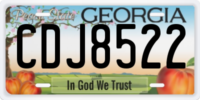 GA license plate CDJ8522