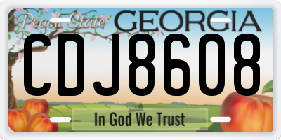 GA license plate CDJ8608