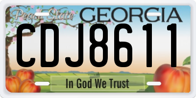 GA license plate CDJ8611