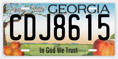 GA license plate CDJ8615