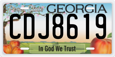 GA license plate CDJ8619