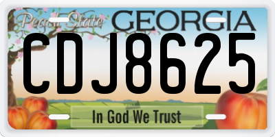 GA license plate CDJ8625