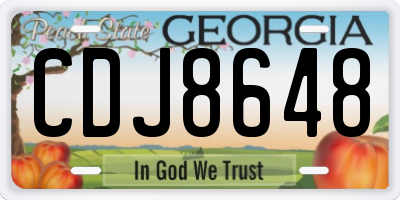 GA license plate CDJ8648