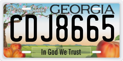 GA license plate CDJ8665