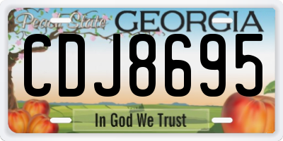 GA license plate CDJ8695