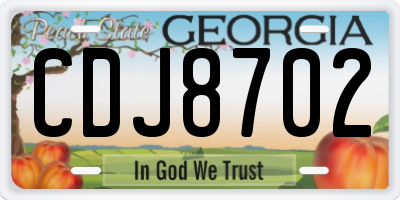GA license plate CDJ8702