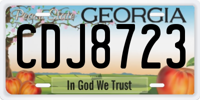 GA license plate CDJ8723