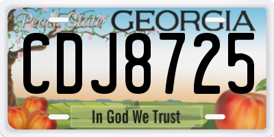 GA license plate CDJ8725