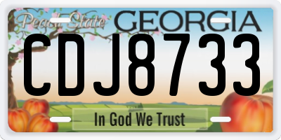 GA license plate CDJ8733
