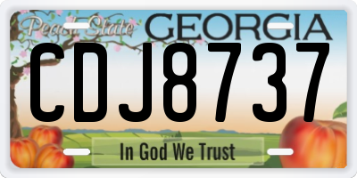 GA license plate CDJ8737