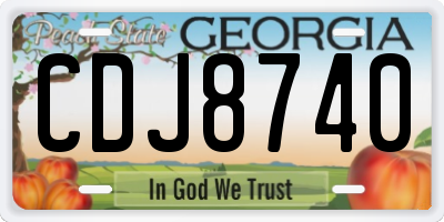 GA license plate CDJ8740