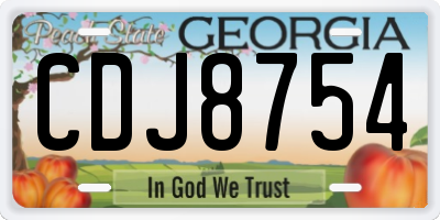 GA license plate CDJ8754