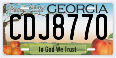 GA license plate CDJ8770